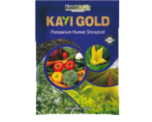 Kavi Gold